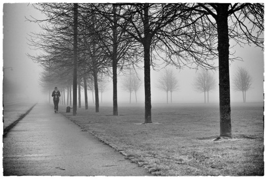 lady Glasgow Green Jan Fog 2012 007