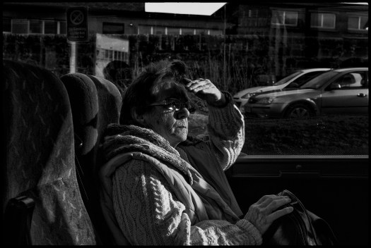 Looking at me out of the corner of her eye while shading from the sun