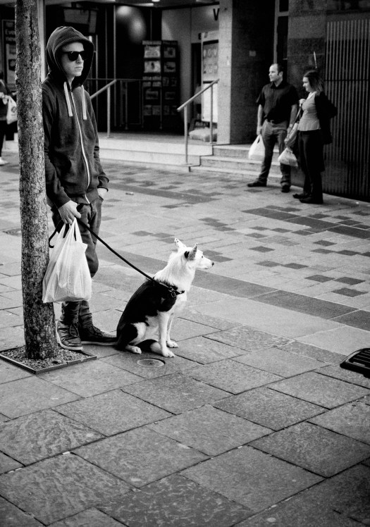 Dark glasses with dog Glasgow