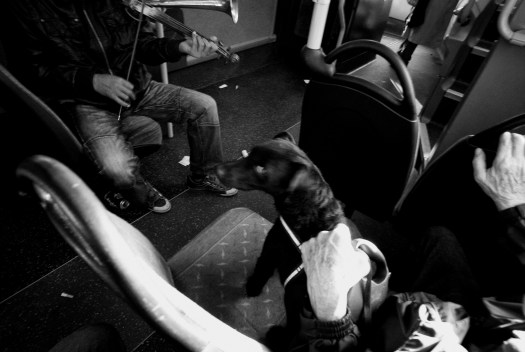 Daido Moriyama inspired failure