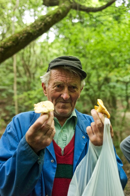 comparing mushrooms 209