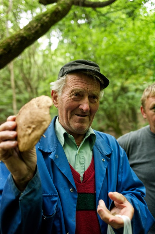 mushroom pickers 208