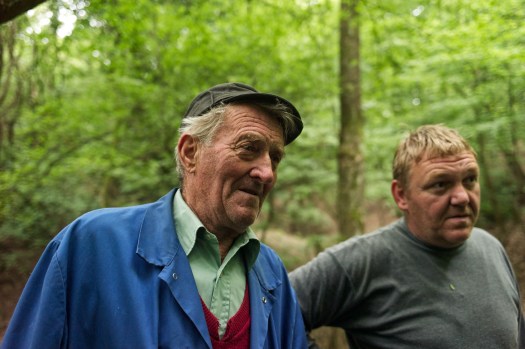 mushroom pickers in country 210