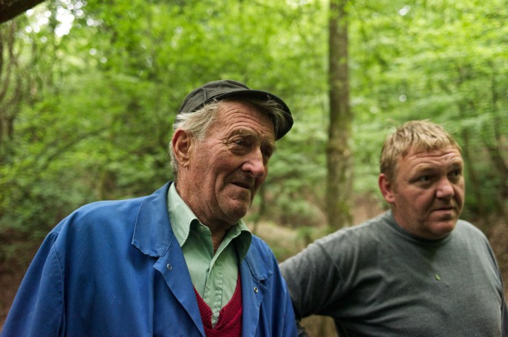 mushroom pickers in country 210