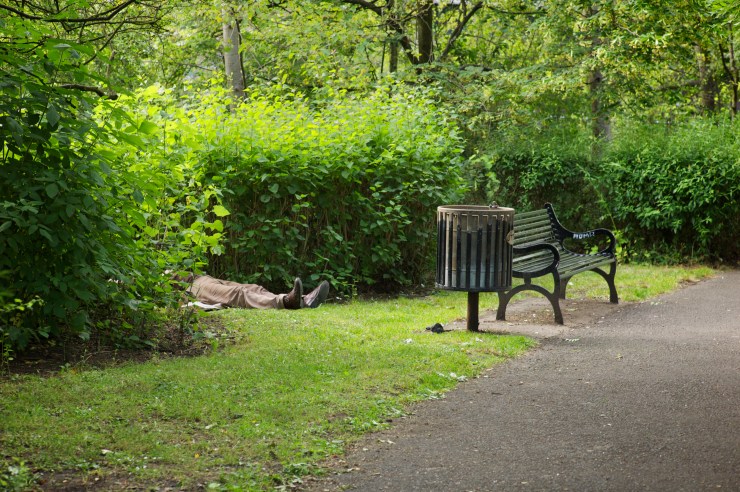 Close Up but not Blown Up 