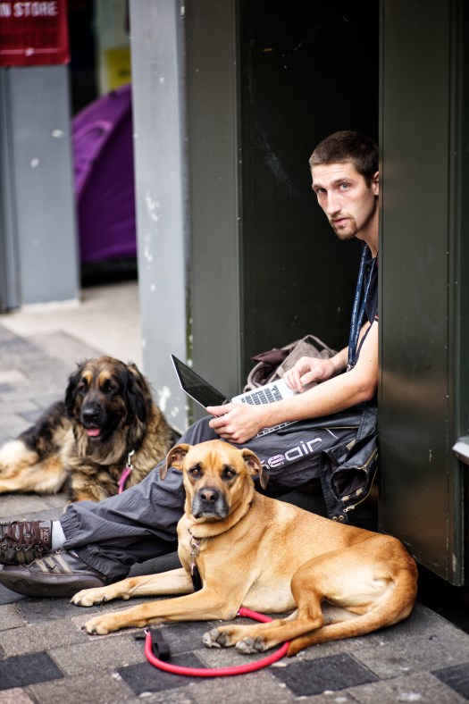 man with dogs 272
