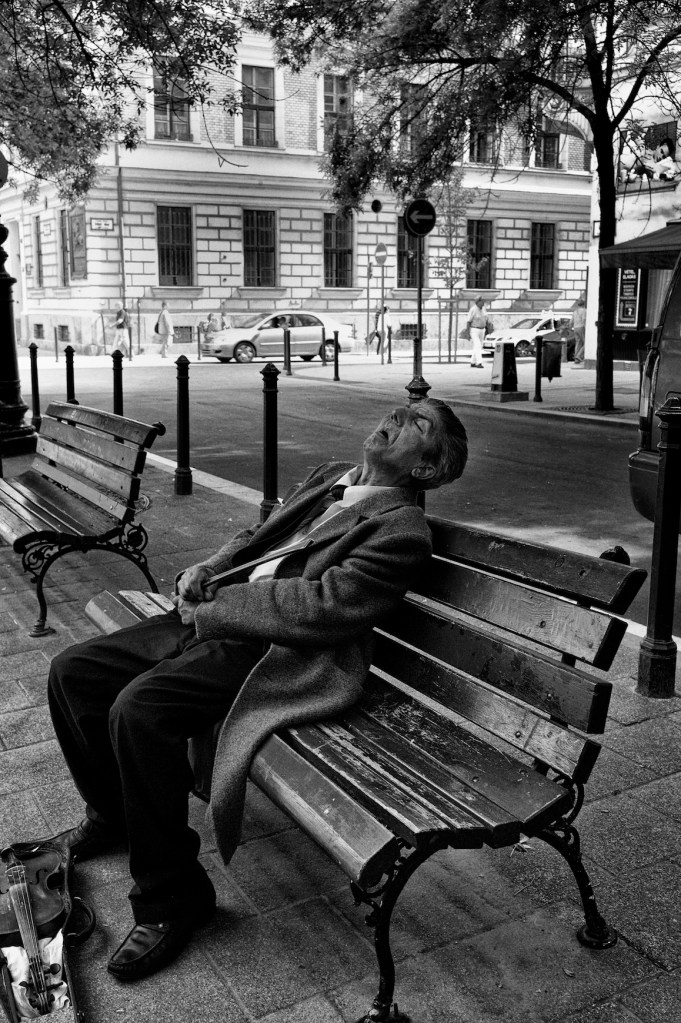 sleeping fiddler 373