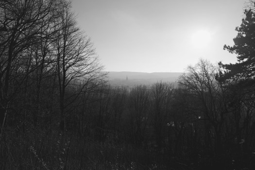 L1020742 - Version 2