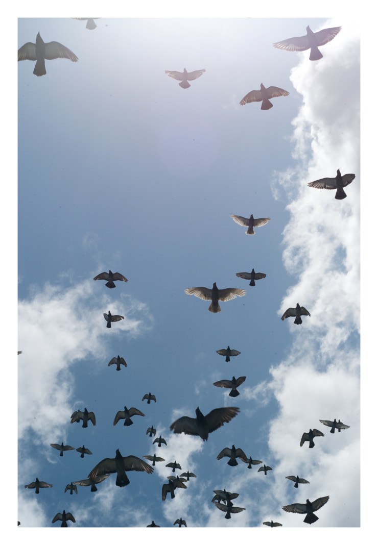 eaea01_e8bc39b10a7b85c8e05a3ba8183baf3e