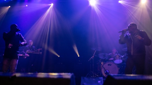 black grape glasgow_-4