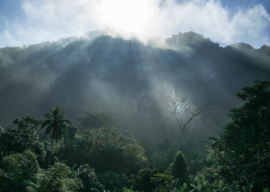 A misty morning over the Khlong Sok River